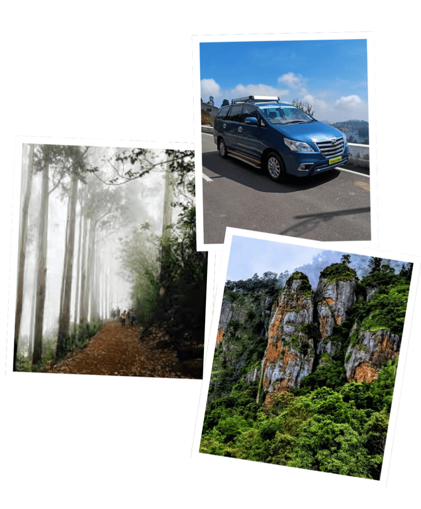 About us 1 kodaikanal travel agency