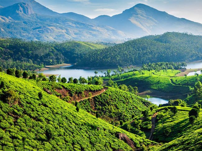 Thekkady Munnar Alleppy Tours