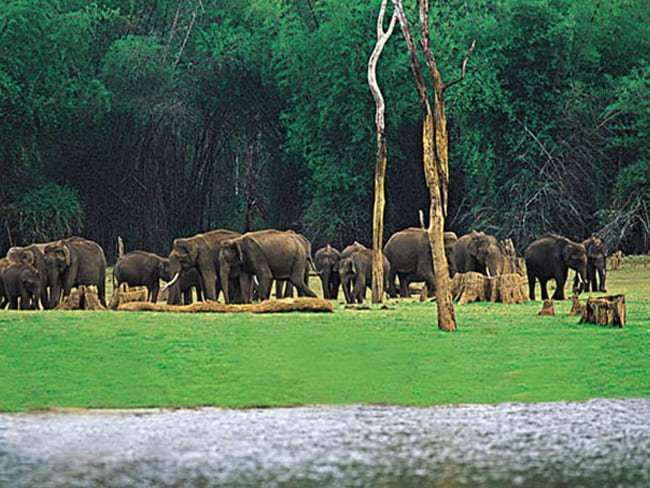 Thekkady Munnar Alleppy Tours