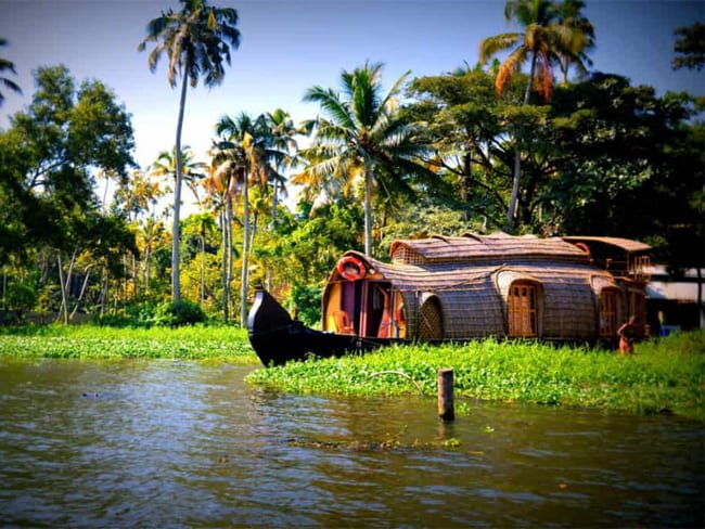 Thekkady Munnar Alleppy Tours