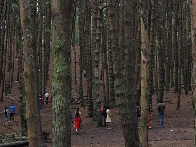 Kodaikanal weekend tours