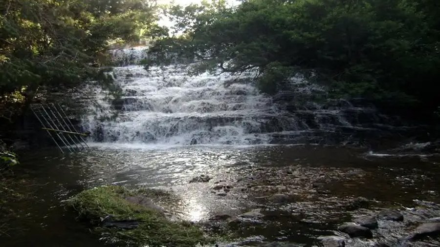 kodai-picnic-tours3