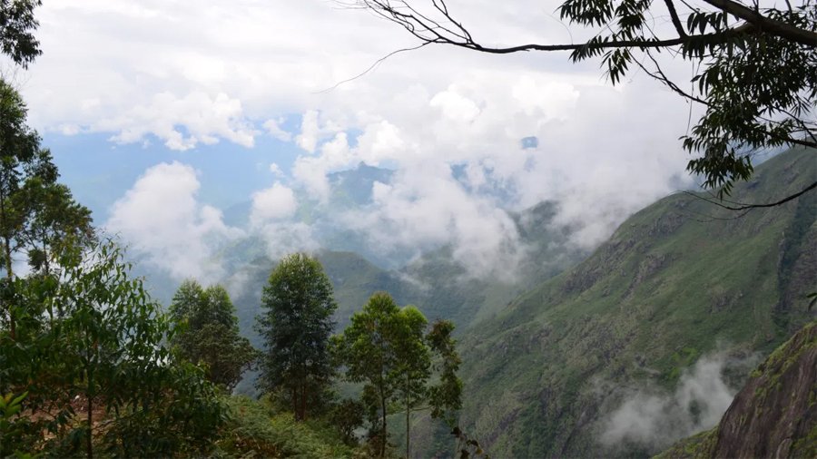 kodai-picnic-tours4