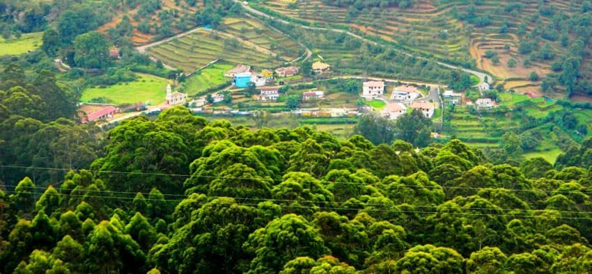 kodaikanal forest tour3