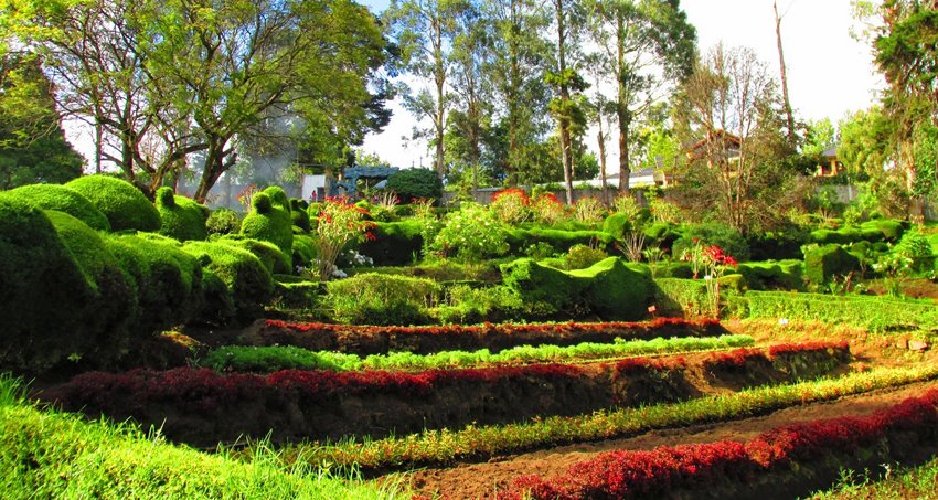 kodaikanal-park-tour-package2
