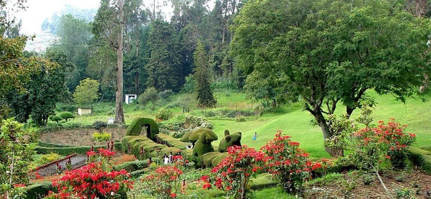 kodaikanal park tours3