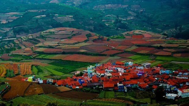Contact Us for Booking Kodaikanal Tours & Taxi Services