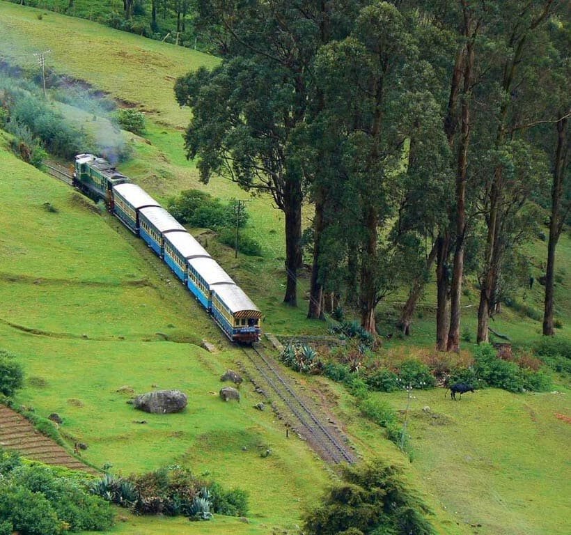 ooty