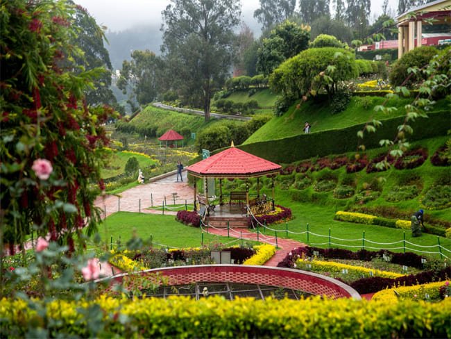 Ooty Mysore Bangalore Tours